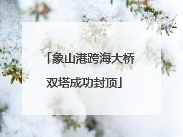 象山港跨海大桥双塔成功封顶